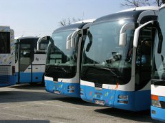 Autobusse Wien